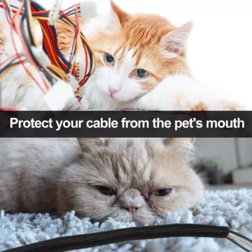 Ống PET Bọc Dây Cáp Xe Điện Quantum - Hình ảnh 5