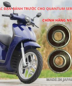 Bộ Bạc Đạn Trước NSK Nhật Bản Chính Hãng Cho Dat.Bike Quantum (S0-S3)