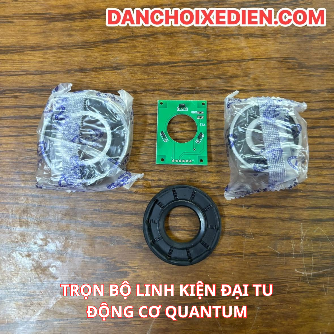 linh kiện sửa chữa động cơ quantum